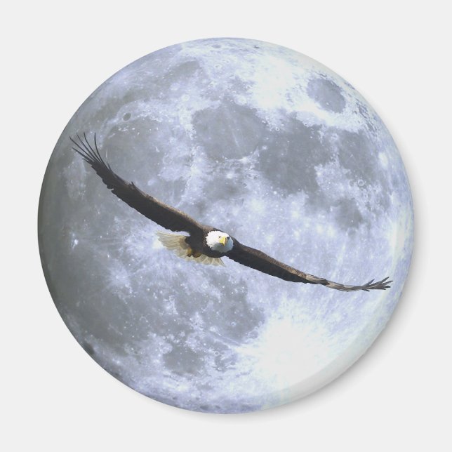 Flying BALD EAGLE & FULL MOON Wildlife Magnet (Front)