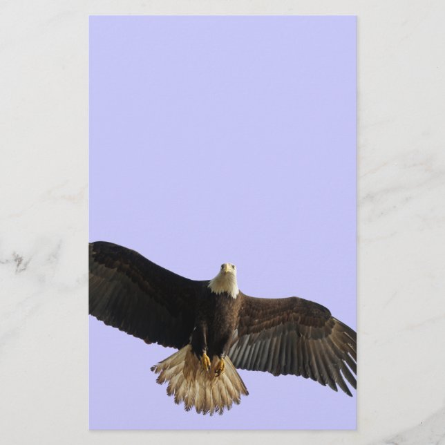 Flying Bald Eagle Wildlife Gift Stationery (Front)