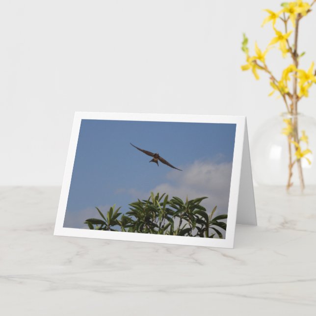 Flying Barn Swallow Portrait Card (Yellow Flower)