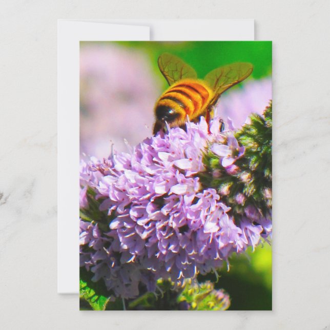 Flying Bee  5 x 7  Expression/Greeting Card (Front)