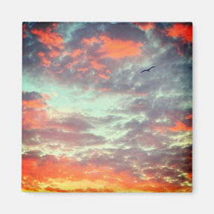 Flying Bird in Clouds Photo Magnet