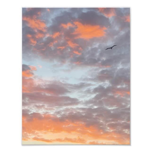 Flying Bird in Pink Clouds Photo Print (Front)