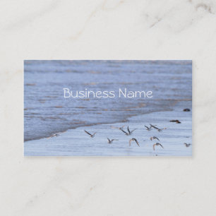 Flying Birds along the Shoreline Business Card