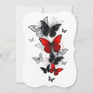 Flying Black and Red Morpho Butterflies