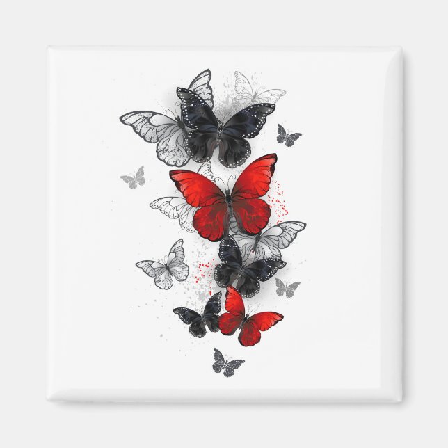 Flying Black and Red Morpho Butterflies Magnet (Front)