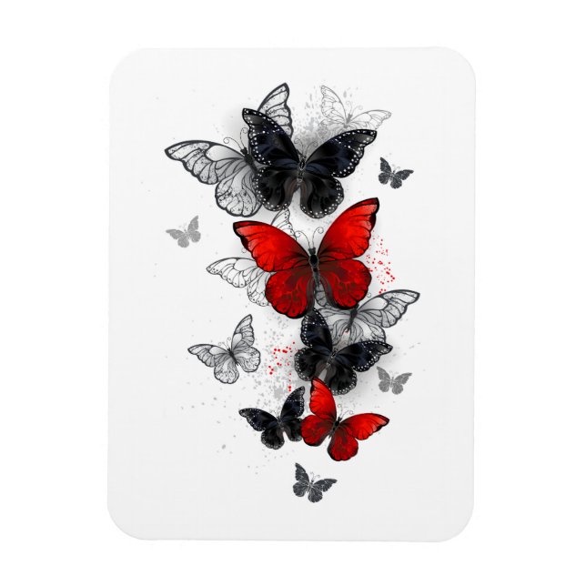 Flying Black and Red Morpho Butterflies Magnet (Vertical)