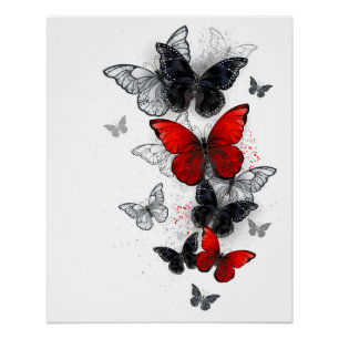 Flying Black and Red Morpho Butterflies Poster