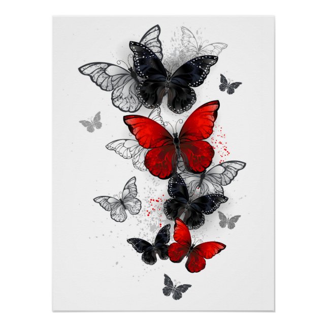 Flying Black and Red Morpho Butterflies Poster (Front)