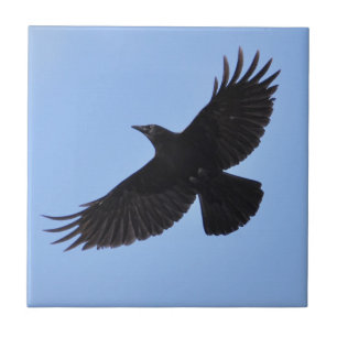 Flying Black Raven Corvid Crow-lover Photo Design Tile