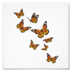 Flying Butterflies - Butterfly Lover Gardener Ento Photo Print