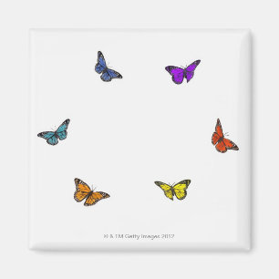 Flying butterflies magnet