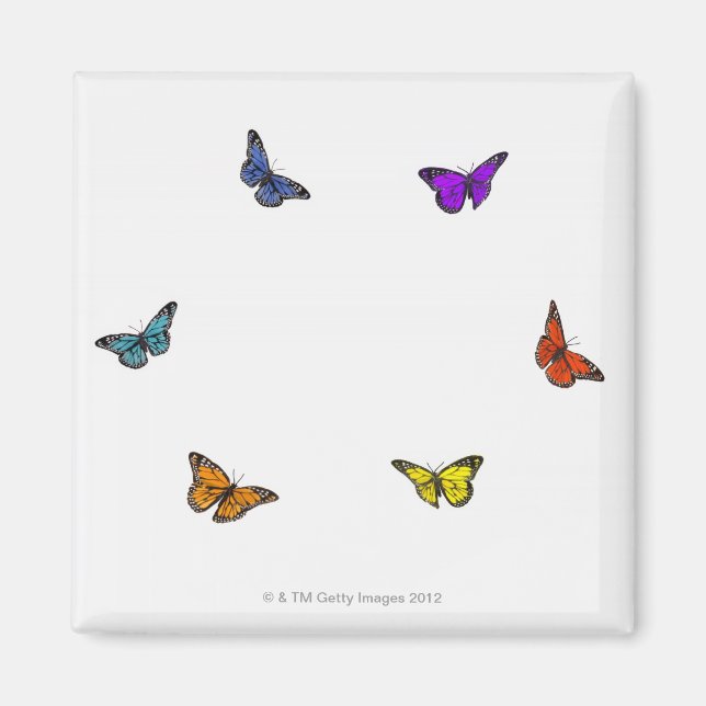 Flying butterflies magnet (Front)