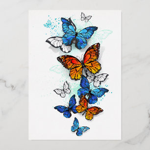 Flying Butterflies Morpho and Monarch