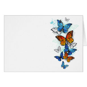 Flying Butterflies Morpho and Monarch