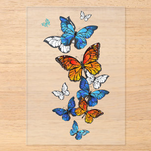 Flying Butterflies Morpho and Monarch Acrylic Invitations