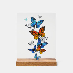 Flying Butterflies Morpho and Monarch Acrylic Sign