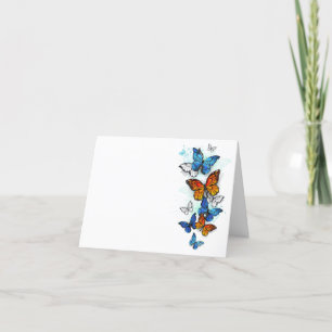 Flying Butterflies Morpho and Monarch Announcement