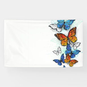 Flying Butterflies Morpho and Monarch Banner