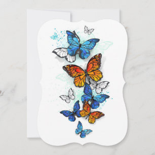Flying Butterflies Morpho and Monarch Card