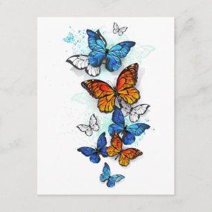 Flying Butterflies Morpho and Monarch Enclosure Card