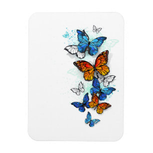 Flying Butterflies Morpho and Monarch Magnet