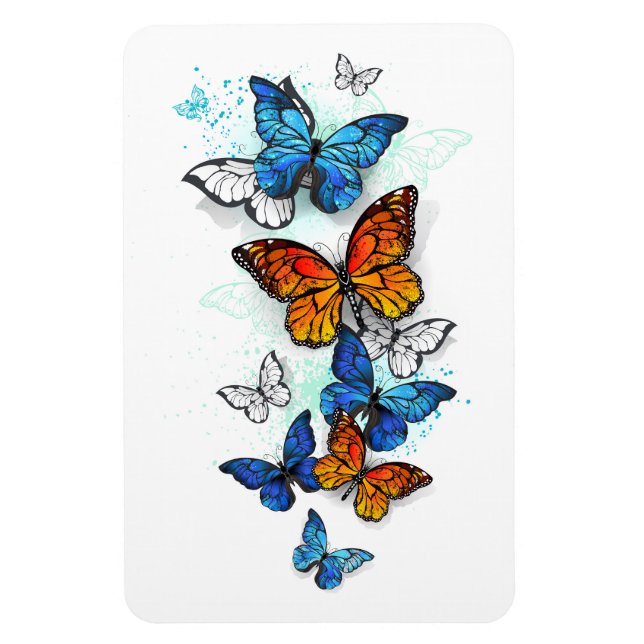 Flying Butterflies Morpho and Monarch Magnet (Vertical)