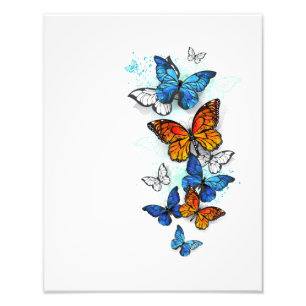Flying Butterflies Morpho and Monarch Photo Print