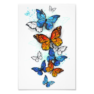 Flying Butterflies Morpho and Monarch Photo Print