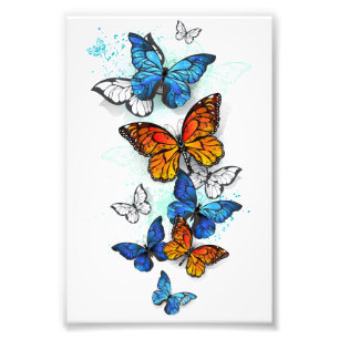 Flying Butterflies Morpho and Monarch Photo Print