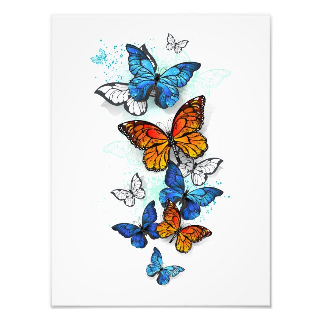 Flying Butterflies Morpho and Monarch Photo Print (Front)