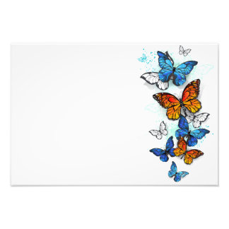 Flying Butterflies Morpho and Monarch Photo Print