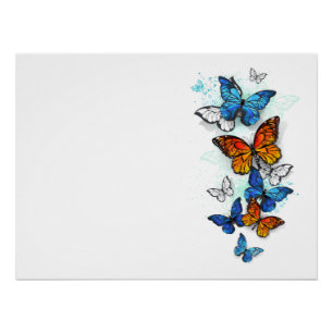 Flying Butterflies Morpho and Monarch Poster