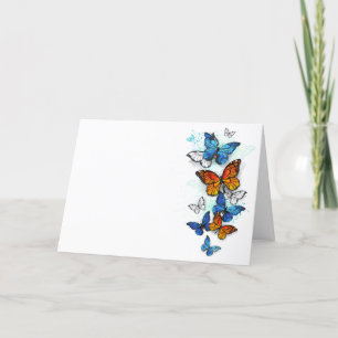 Flying Butterflies Morpho and Monarch Programme