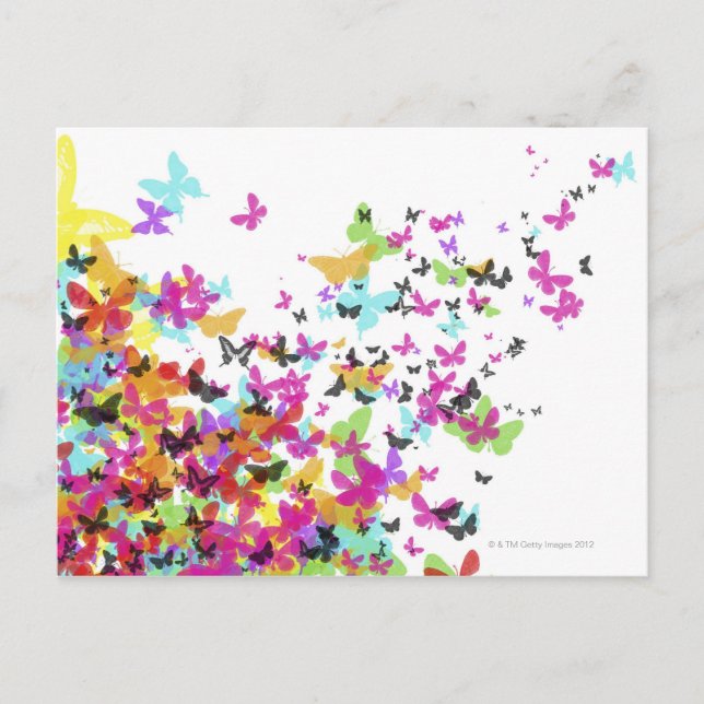 Flying Butterflies Postcard (Front)