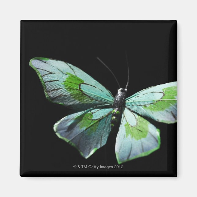 Flying butterfly magnet (Front)