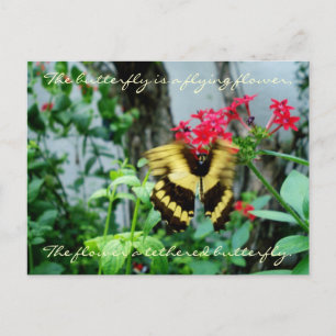 Flying Butterfly Postcard / Quote