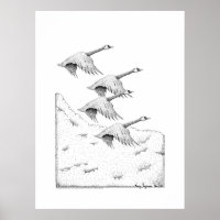 Flying Canada Geese Pen and Ink Drawing