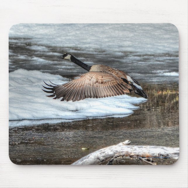 Flying Canada Goose, Pond & Snow Wildlife Photo Mouse Pad (Front)