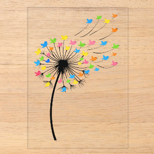 Flying colourful birds dandelion flow acrylic invitations