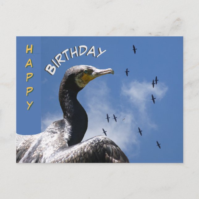 Flying Cormorants Happy Birthday Postcard (Front)