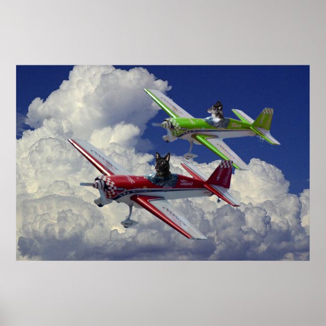 Flying dogs 3 poster (Front)