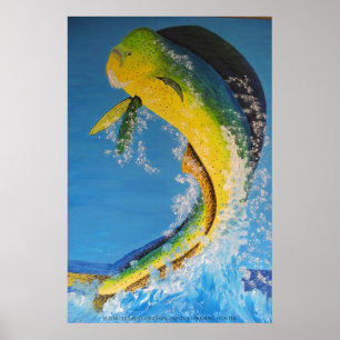 Flying dolphin poster