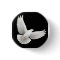 Flying Dove Pin