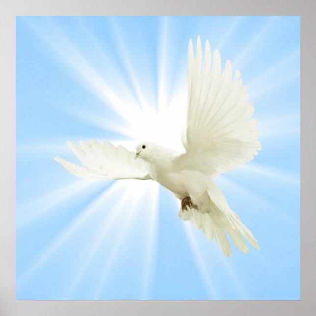 Flying dove poster (Front)