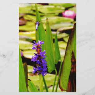 Flying Dragonfly Stationery