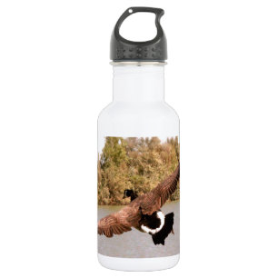 flying duck over water photograph 532 ml water bottle
