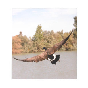 flying duck over water photograph notepad