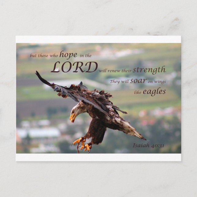 Flying Eagle Bible Verse.jpg Postcard (Front)