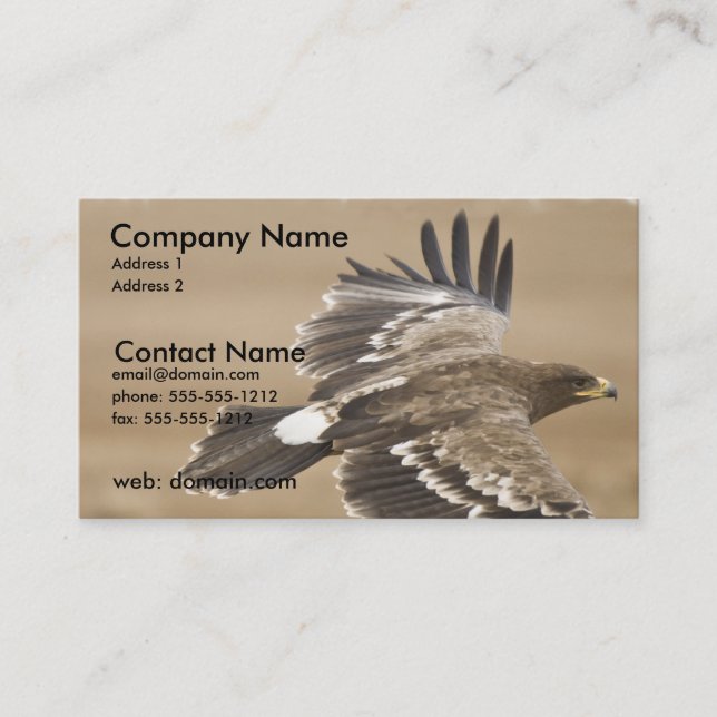 Flying Eagle Business Card (Front)