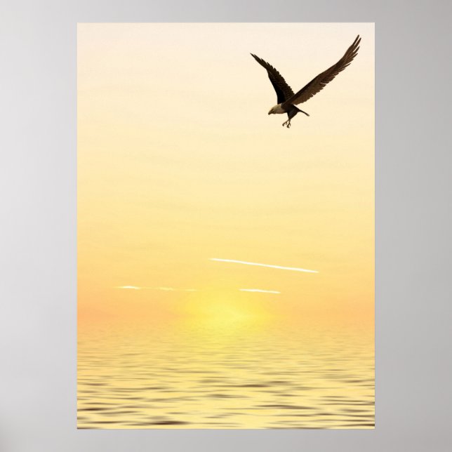Flying Eagle Poster (Front)